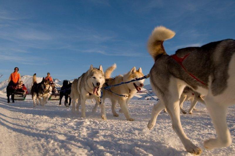 Résidence Les Mélèzes Alpe d'Huez Exterior foto